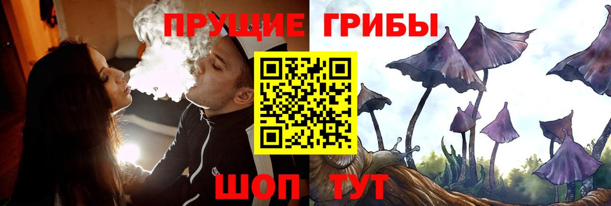 купить  сайты  Вход с VPN  Вятские Поляны  Галлюциногенные грибы прущие грибы 